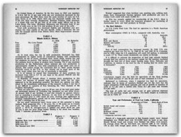 1967 Page 036 037